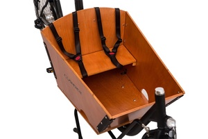 Tricycle adulte de style néerlandais, <span class=keywords><strong>vélo</strong></span> cargo électrique de 26 pouces pour la famille - Product Image 6