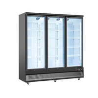 Réfrigérateur commercial vertical à triple porte, basse température, style Hema, refroidi par air, sans givre, ventilé, pour congélation et refroidissement