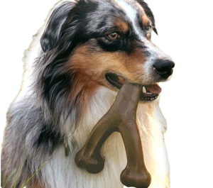 Eco-friendly Non tossico cane masticare osso giocattolo duro colore cioccolato in Nylon per la pulizia dei denti giocattoli per cani - Product Image 3