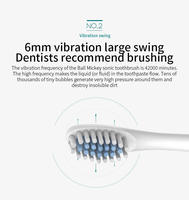 Brosse à Dents Électrique Rechargeable Nettoyage Buccal IPX7 Brosse à Dents Sonique avec 4 Têtes Souples Brosse à Dents Électrique pour Couple