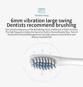 Chargeable Electric Toothbrush IPX7 Oral Cleaning Sonic Electric Toothbrush With 4 Soft Bristles Couple Electric Toothbrush