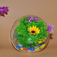 Accessoires de décoration intérieure, vases ronds en verre borosilicate transparent de haute qualité, faits à la main, sans BPA, en forme de boule hydroponique pour fleurs