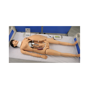 Maniquí de Órganos Femeninos para Enfermería F55, Simulador de Mecanismo de Parto de PVC, Entrenamiento de Parto Avanzado, Parto <span class=keywords><strong>Materno</strong></span>-<span class=keywords><strong>Infantil</strong></span> - Product Image 1