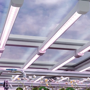 Hệ Thống Thoát Nước Tường Màu Xanh Lá Cây Kênh Tưới Thủy Canh Nông Trại Vertic - Product Image 6