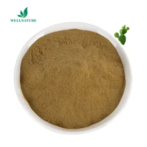 Free Sample Opuntia Cactus Extract 10:1 Oraginc Plant Hoodia Cactus Extract Powder