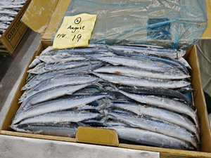 Maquereau entier congelé, <span class=keywords><strong>poisson</strong></span> saurien du Pacifique congelé, pêché en <span class=keywords><strong>mer</strong></span>, à vendre - Product Image 4