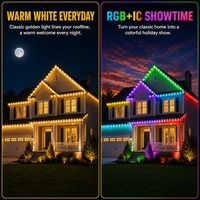 Controlador de Aplicaciones Programable, Luces Navideñas LED RGB RGBW de 48 V, 6 LED, para Exteriores, Resistentes al Agua IP68, Luces Puntuales Permanentes para Exteriores