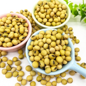 Grains <span class=keywords><strong>de</strong></span> <span class=keywords><strong>soja</strong></span> crus <span class=keywords><strong>de</strong></span> haute qualité, en sachet, graines <span class=keywords><strong>de</strong></span> <span class=keywords><strong>soja</strong></span> en vrac biologique pour aliments - Product Image 2