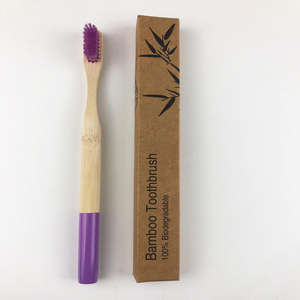 Cepillo de Dientes Redondo con Mango Nano, Cerdas <span class=keywords><strong>NanoSoft</strong></span> Ecológicas, Cepillo de Dientes de Bambú OEM con Empaque y Logotipo Personalizados - Product Image 3