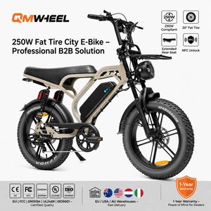 จักรยานไฟฟ้า QMHEEL V20Limited 48V ยางใหญ่ สำหรับในเมือง แบตเตอรี่ลิเธียม ระยะทางไกล เหมาะสำหรับผู้ขายข้ามพรมแดน จัดหาแบบ B2B - Product Image 1