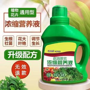 สารละลายธาตุอาหารพืช 500 มล. สำหรับพืชในร่มและดอกไม้กระถาง - Product Image 2