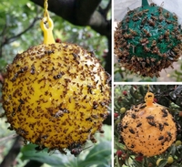Buiten hangende tuin gereedschap fruitvliegbal fruitvliegval