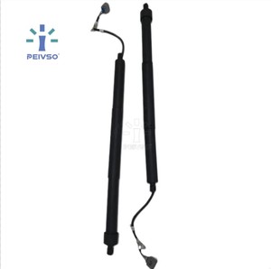 Amortisseur de hayon électrique PEIVSO, robuste et de qualité supérieure, longue durée de vie, pour TOYOTA LAND CRUISER 2021 RH 6891060110 - Product Image 1