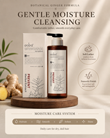 Shampoo hydratant riche au gingembre Aoba, prévention de la perte de cheveux, volumisant, extrait d'herbes, cheveux fins et doux, OEM ODM, étiquette privée