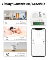 Tuya 220V commutateur de gradateur Assistant domestique WiFi Module électrique intelligent 2 gangs relais fonctionne avec Alexa Google Yandex Alice