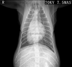 EUR VET taşınabilir kablosuz düz Panel dedektör X ışını makinesi düz Panel dedektör - Product Image 5