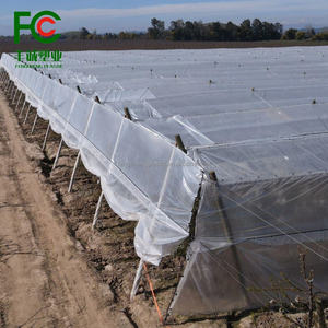 ใหม่เต็นท์ปลูกต้นองุ่นแบบใสผ้า HDPE ทอรูปเชอร์รี่ - Product Image 5