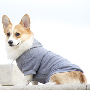 Sweat à capuche pour animaux de compagnie, couleur unie, petite taille, décontracté, pour chien Teacup, Pomeranian, Maltese, vêtements pour chiots, toutes saisons - Product Image 3