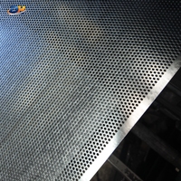 Panel de Chapa Metálica Perforada de Acero Inoxidable, Placa Perforada de Aluminio, Lámina Decorativa con Orificios, Suministro de Fábrica