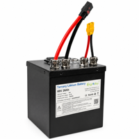 Baterai Lithium Isi Ulang 60V 20Ah 1200Wh NMC untuk Trike Drift Listrik, Buggy Rekreasi, dan Kendaraan Utilitas Ringan