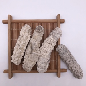 N18 Bán Hàng Nóng Khô Hải Sản Giá Tốt Nhất Khô Dưa Chuột Biển - Product Image 4