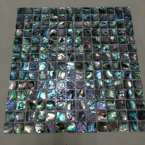 Nguyên bào ngư vỏ gạch - Product Image 1