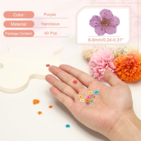 Kit de fleurs pressées multicolores à 5 pétales, fleurs séchées pour résine époxy, maquillage, nail art, bougies parfumées, décoration DIY