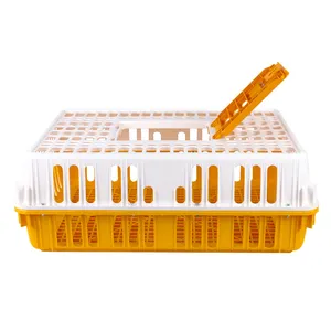 Gevogelte Plastic Kip Kuiken Vleeskuikens Laag Eend Duif Duif Transport Kooi Krat Case Box