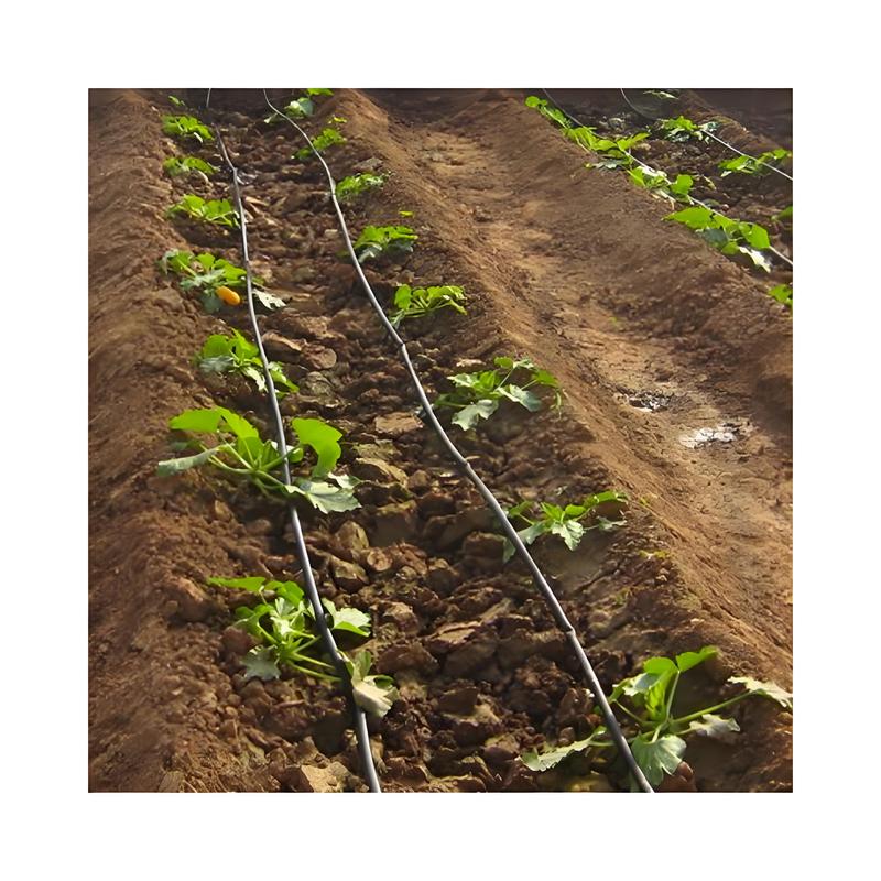 Drip Irrigation Tube Systems for Farm