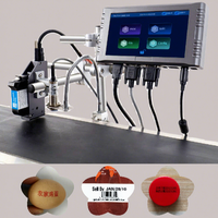 Impresora de Inyección de Tinta Automática T260E-1 TIJ para Códigos de Lote y Fechas de Caducidad, Fabricada en China