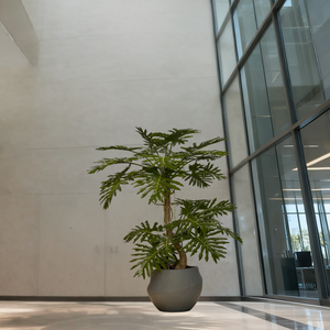 Pianta Artificiale di Philodendron in Vaso 250CM, Materiale PU, Alta Simulazione, Durevole, Decorazione per Interni, Piante Artificiali Decorative - Product Image 6