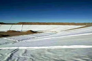 Màu Đen Không Thấm Nước Pond Liner Nuôi Trồng Thủy Sản <span class=keywords><strong>LDPE</strong></span> HDPE Màng Địa Kỹ Thuật Trong CuộN - Product Image 3