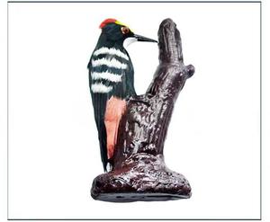 Modelo de anatomía de pájaro carpintero, exhibición detallada de la morfología de aves para la educación en biología y la popularización de la ciencia - Product Image 4