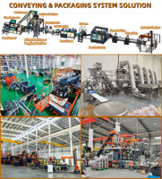 Mesin Penumpuk Robot Palletizer Tipe Kolom Focus Machinery untuk Karton dan Kantong 40kg