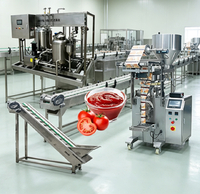 Ligne complète de production de purée de tomate 500 kg/h : lavage, pulvérisation, concentration, remplissage, tout en un