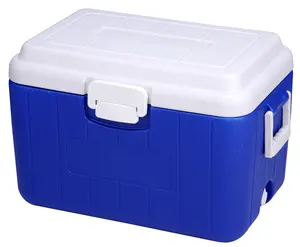 32l Plastic Geïsoleerde Doos Camping Koelbox Ijskil