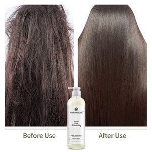 Shampooing capillaire hydratant doux au germe de blé, marque privée, adoucissant <span class=keywords><strong>et</strong></span> réparateur, pour cheveux secs, crépus <span class=keywords><strong>et</strong></span> cassants - Product Image 5