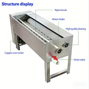 آلة تنظيف بالفرشاة لمعالجة الأغذية، آلة غسيل البيض الأوتوماتيكية - Product Image 3