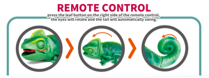 Jouet animal télécommandé RC, caméléon qui marche, peut <span class=keywords><strong>manger</strong></span> des insectes, le meilleur cadeau pour les enfants - Product Image 2