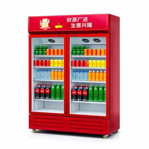 Réfrigérateur commercial vertical à deux portes vitrées avec éclairage LED pour boissons, idéal pour les magasins de proximité - Product Image 1