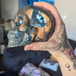 Teschi <span class=keywords><strong>di</strong></span> Labradorite Lucidati all'Ingrosso per Guarigione e Decorazione Casa, Regalo Unico per le Festività Feng Shui - Product Image 5
