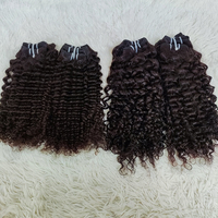 LetsFly Offre en Gros de Lots de Cheveux Humains Bouclés Crépus 9A, Mélange Brun, Extensions de Cheveux Brésiliens, Fournisseur de Cheveux, Livraison Gratuite
