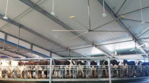 18FT Industrial HVLS Ceiling <b>Fan</b> with 5.5M Blades Low Noise Cooling Ceiling <b>Fan</b> - Product Image 6