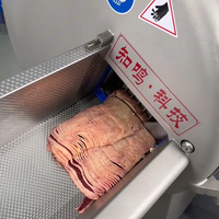 Trancheuse à Viande de Porc Fiable et Polyvalente, Moteur en Acier Inoxydable 304, Machine à Découper la Viande Congelée pour Cuisine Centrale et Boucherie