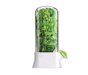 Dispositivo ecológico de mantenimiento fresco, caja crujiente de cilantro y verduras, contenedor de hierbas, botellas de almacenamiento para el hogar - Product Image 2