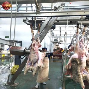 Équipement complet pour abattoir de chèvres, machines de boucherie pour moutons, ligne de traitement de viande de mouton HACCP, dispositif de convoyage pour abattoir d'<span class=keywords><strong>agneaux</strong></span> - Product Image 6