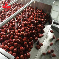 Industriële rode dadels wasmachine fruit- en groentereinigingsapparatuur fruitwasmachine voor voedselverwerkingslijn