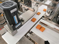 Máquina Automática para Empacar Pan BG, Máquina para Empacar Pan Ruso, Línea de Alimentación