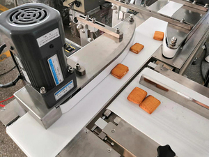 Máquina Automática para Empacar Pan <span class=keywords><strong>BG</strong></span>, Máquina para Empacar Pan Ruso, Línea de Alimentación - Product Image 5