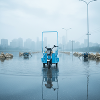Scooter de Movilidad con Carrocería Abierta en Oferta, Triciclo Eléctrico Plegable de 60v 650W, Conveniente y sin Barreras para Usuarios con Movilidad Limitada